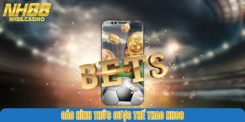 Các hình thức cược thể thao NH88