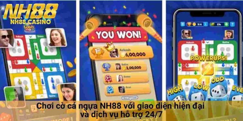 Chơi cờ cá ngựa tại NH88 với giao diện hiện đại và dịch vụ hỗ trợ 24/7
