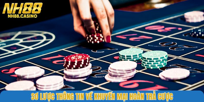 Sơ lược thông tin về khuyến mại hoàn trả cược