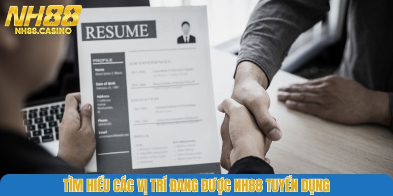 Tìm hiểu các vị trí đang được NH88 tuyển dụng